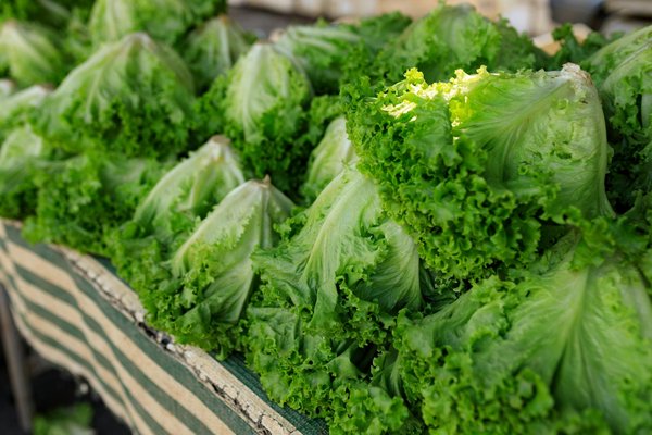 Bar à jus detox : Idées de recettes pour un été minceur